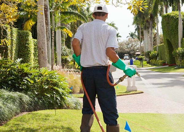 About Roxbury CT Pest Control